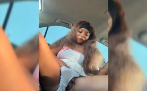 Horny Winnie Having Quick Masturbation Horny Winnie Having Quick Masturbation