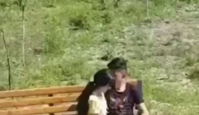 Asian Couple Having Sex In A Park In Public (18+)