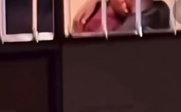 Horny African University Student With Big Ass And Boyfriend Caught Having Sex (18+)