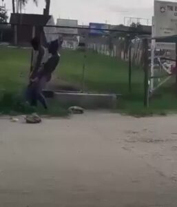 Mad Man Caught Having Sex With Mad Woman In Public (18+) Mad Man Caught Having Sex With Mad Woman In Public (18+)