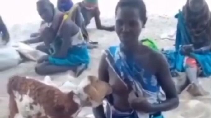 African Girl With Naked Breasts Feeding A Goat In Public (18+)