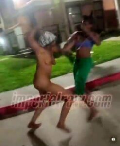 Black American Girl Fighting Naked In Public (18+)
