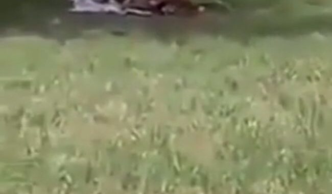 Crazy White European Couple Caught Having Sex On A Field In Public (18+)