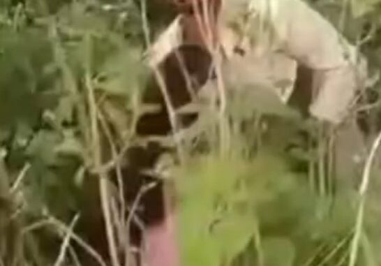 Indian Couple Busted While Having Sex In The Bush In Public (18+)