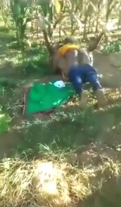 Mzansi Couple Caught In The Act (18+) Mzansi Couple Caught In The Act (18+)
