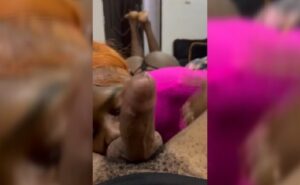 Lagos Babe Rose Exposed With Mouth On Dick Lagos Babe Rose Exposed With Mouth On Dick